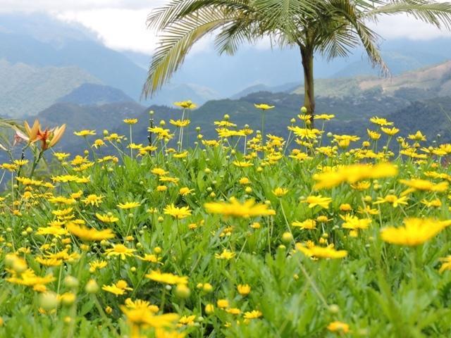 Hotel Reserva Monarca سالنتو المظهر الخارجي الصورة
