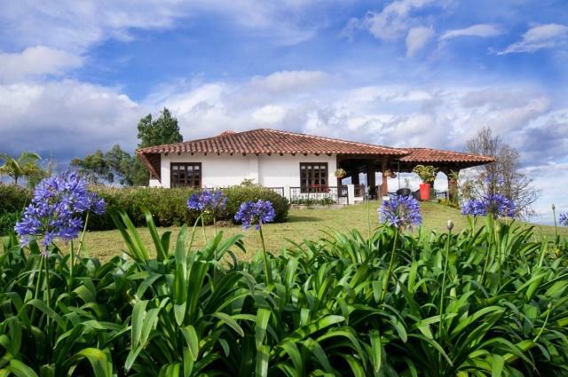 Hotel Reserva Monarca سالنتو المظهر الخارجي الصورة